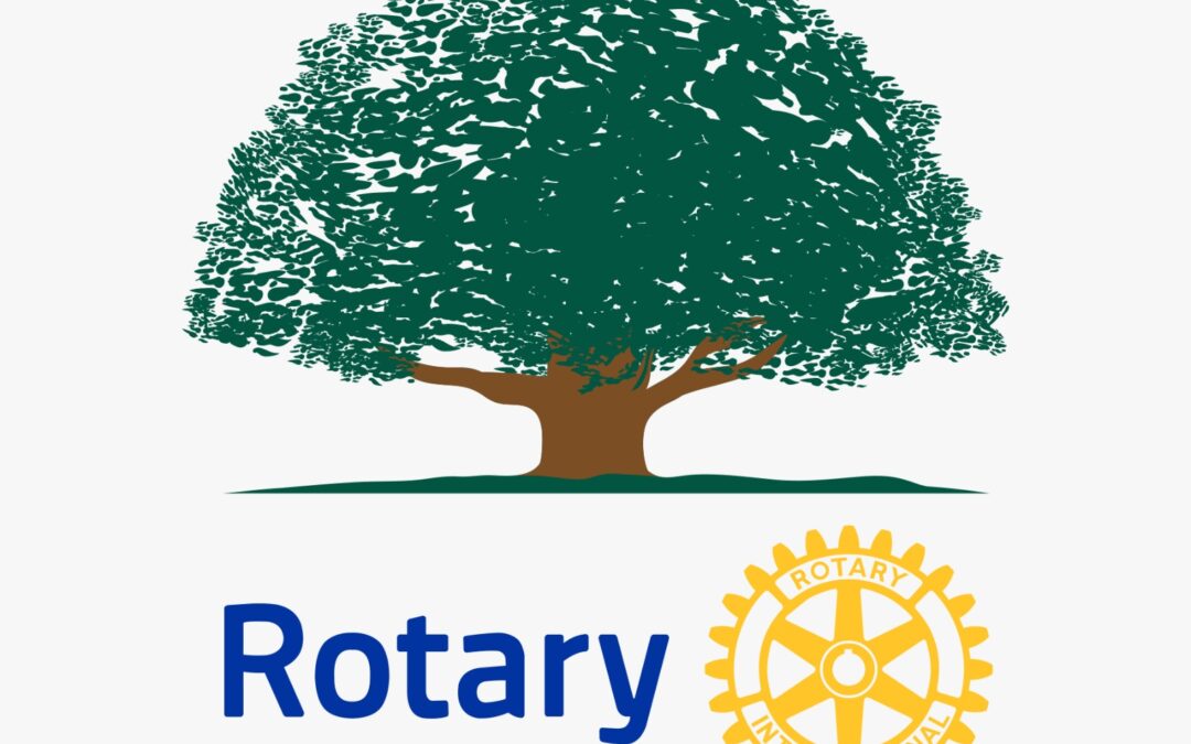 BASES DEL XI CERTAMEN LITERARIO PARA JÓVENES ESCRITORES DEL ROTARY CLUB DE ALMORADÍ